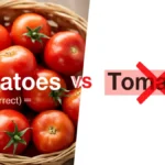 Tomatoes or Tomatos